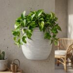Wall Pot Rippled Wall Pot-H266