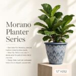 Morano Planter H252 12in