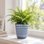 Nantucket Planter H241 6in