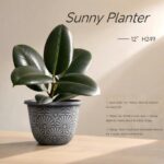 Sunny Planter H249 12in