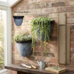 Wall Pot Honey Wall Pot-H267