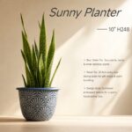 Sunny Planter H248 10in