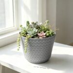 Nantucket Planter H242 8in