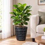 Nantucket Planter H244 12in